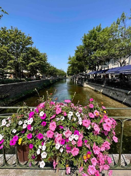 Lou Paseo : Appartement Brocante Centre Historique L'Isle-sur-la-Sorgue Exterior photo